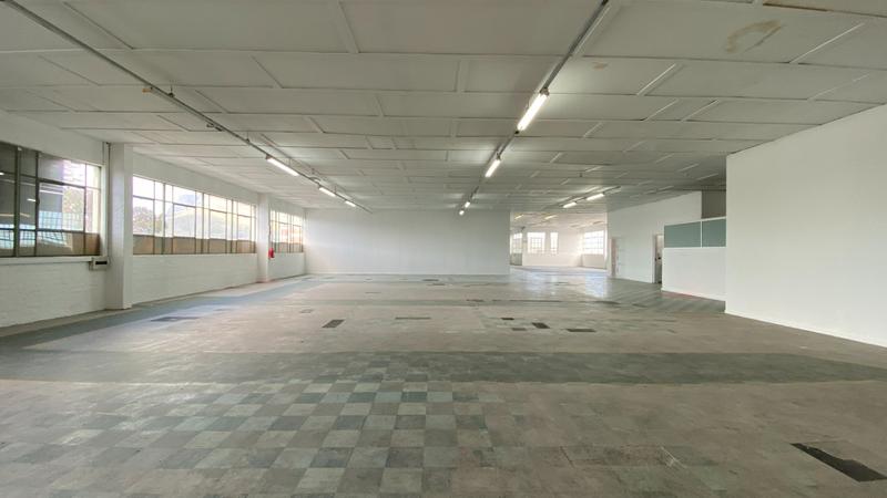 To Let commercial Property for Rent in Maitland Western Cape